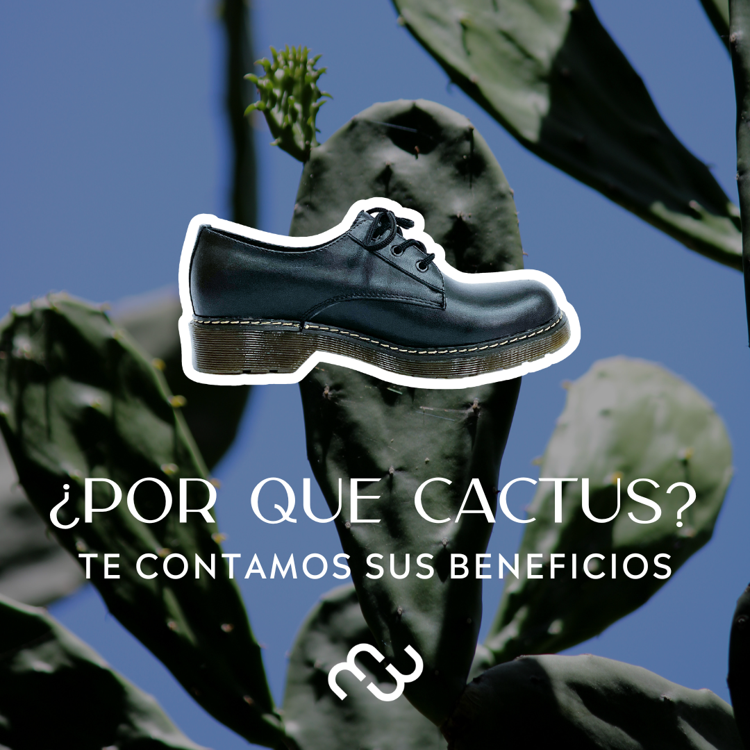 PREVENTA - Boston Negro Cactus
