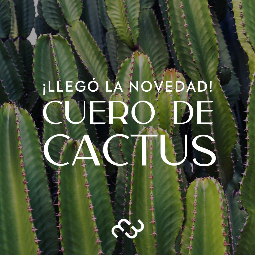PREVENTA - EMA CACTUS