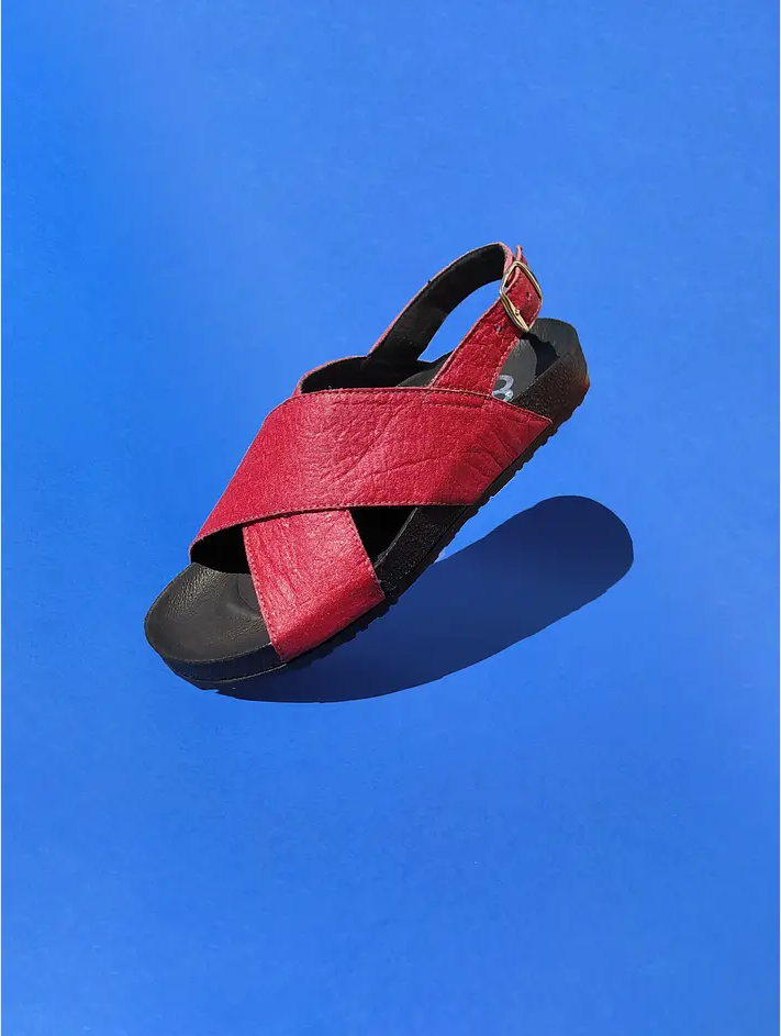 Quintay Rojo