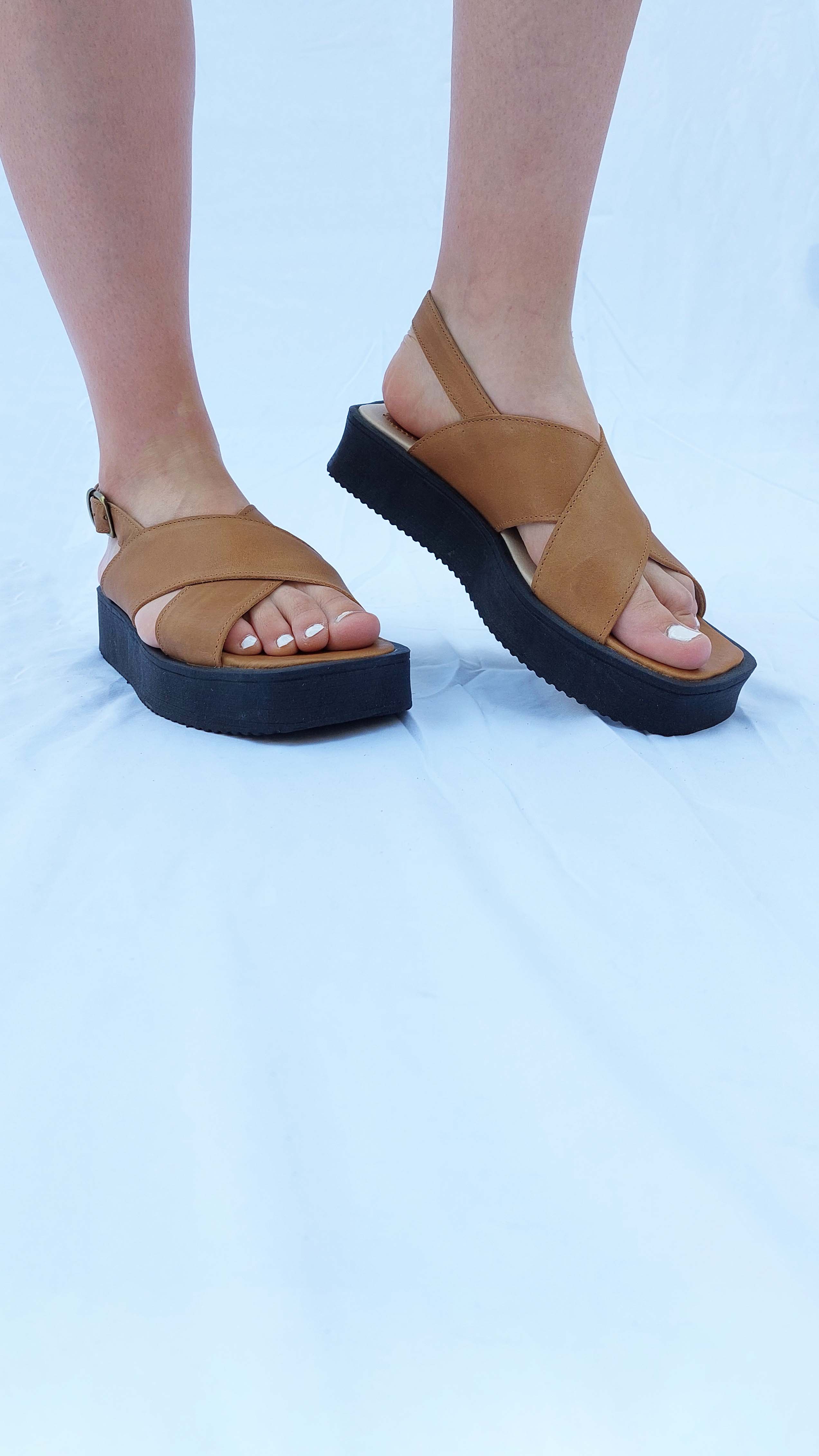 Carmen Camel
