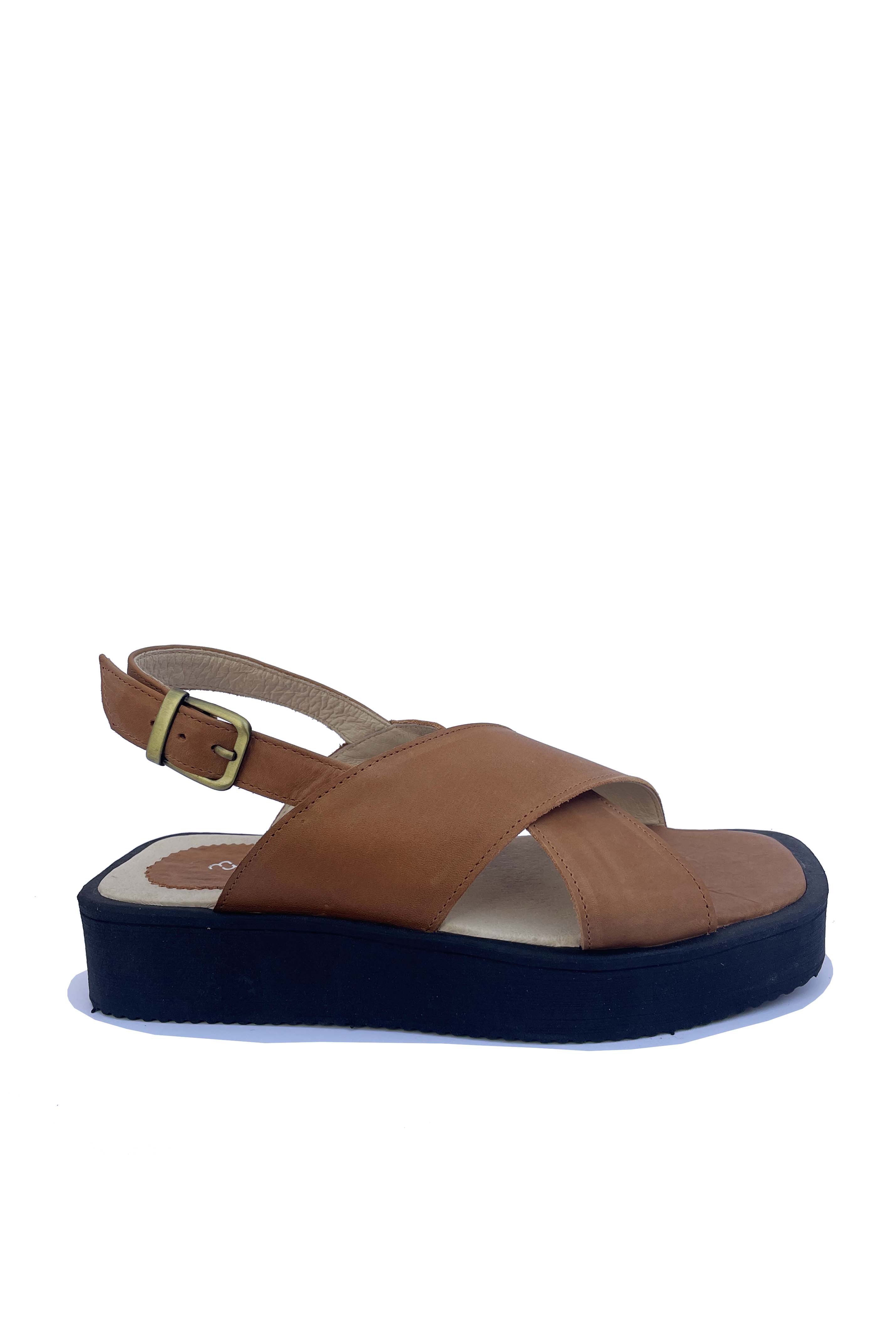 Carmen Camel