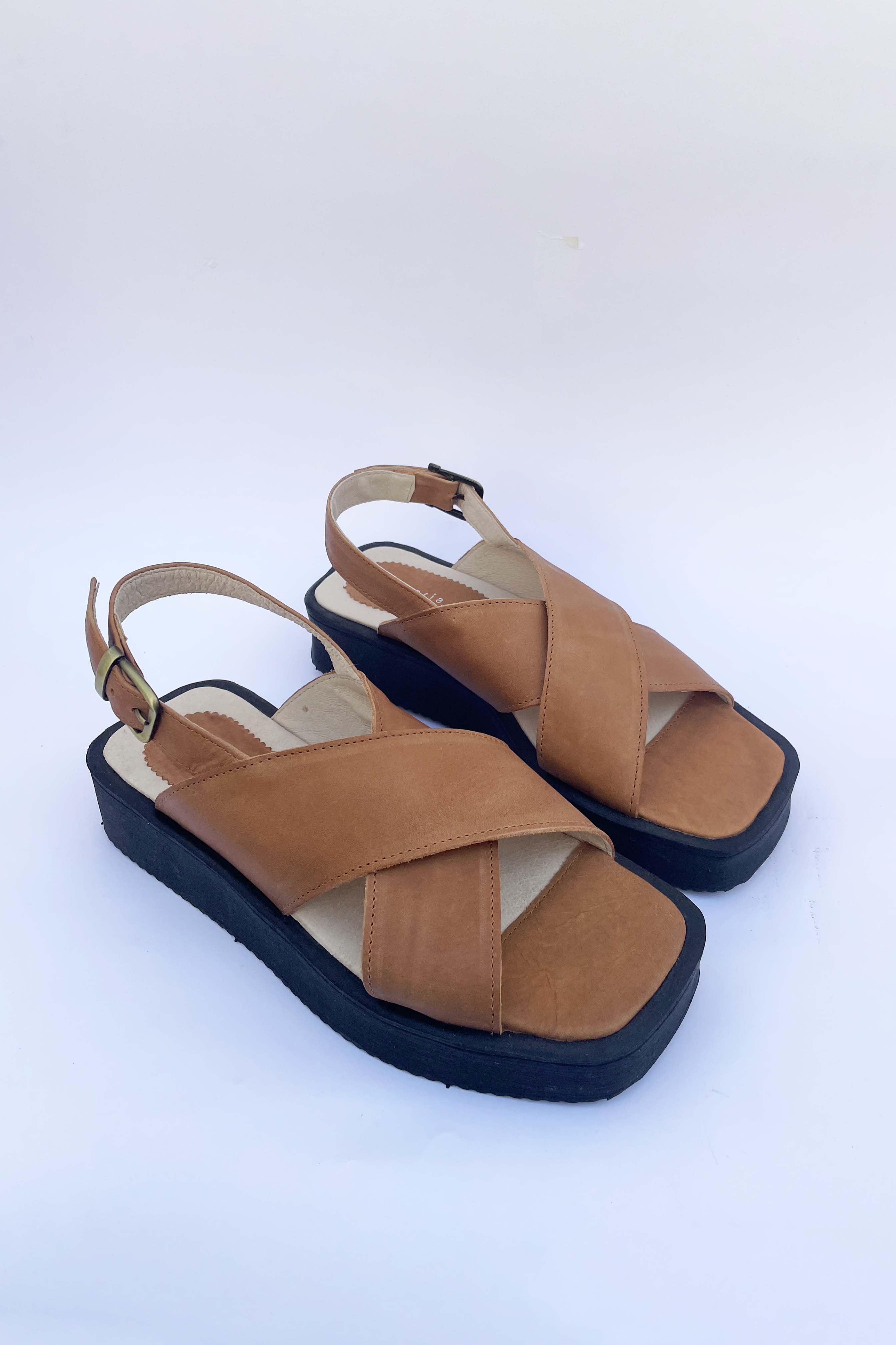 Carmen Camel