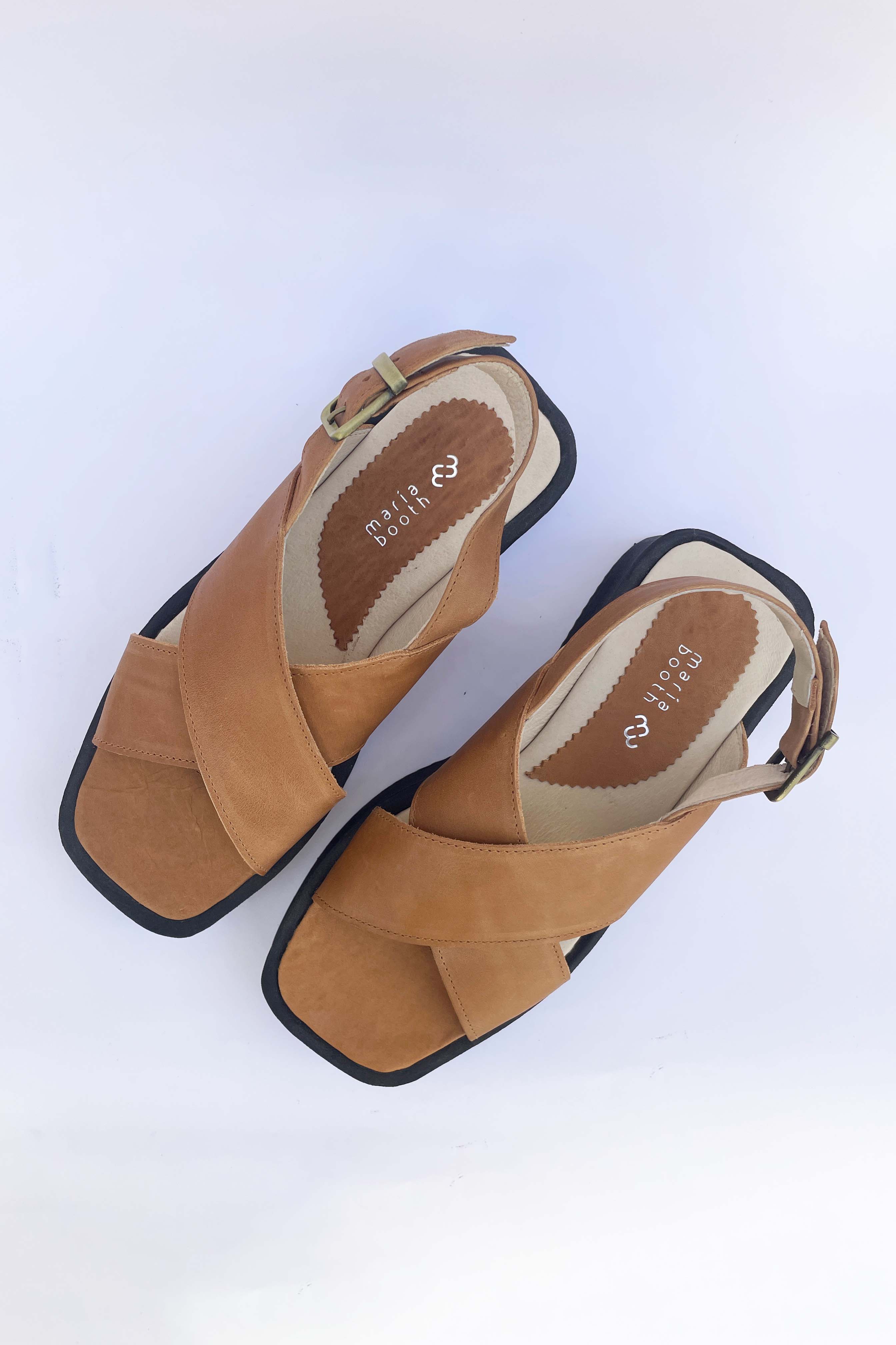 Carmen Camel
