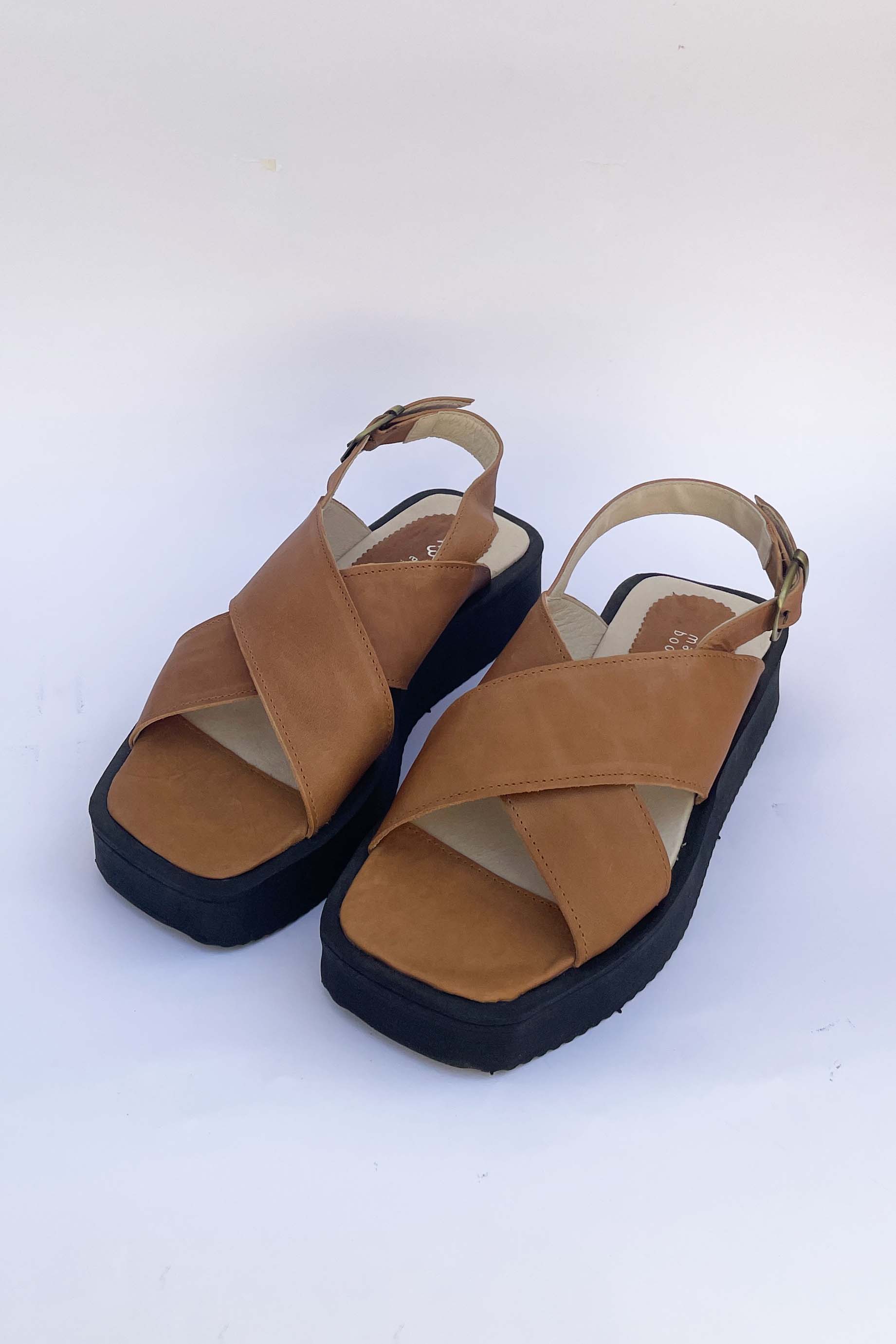 Carmen Camel