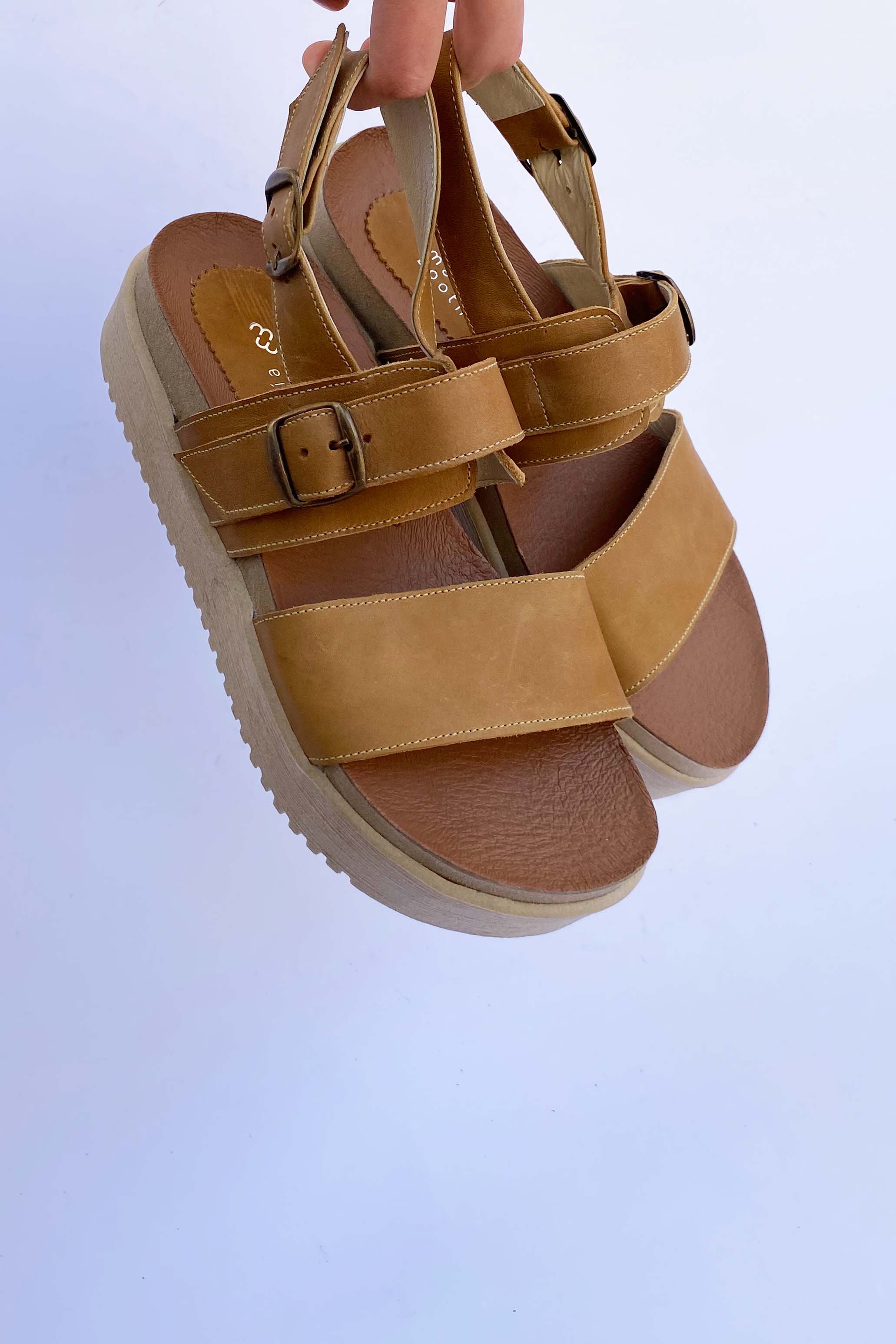 Elisa Camel