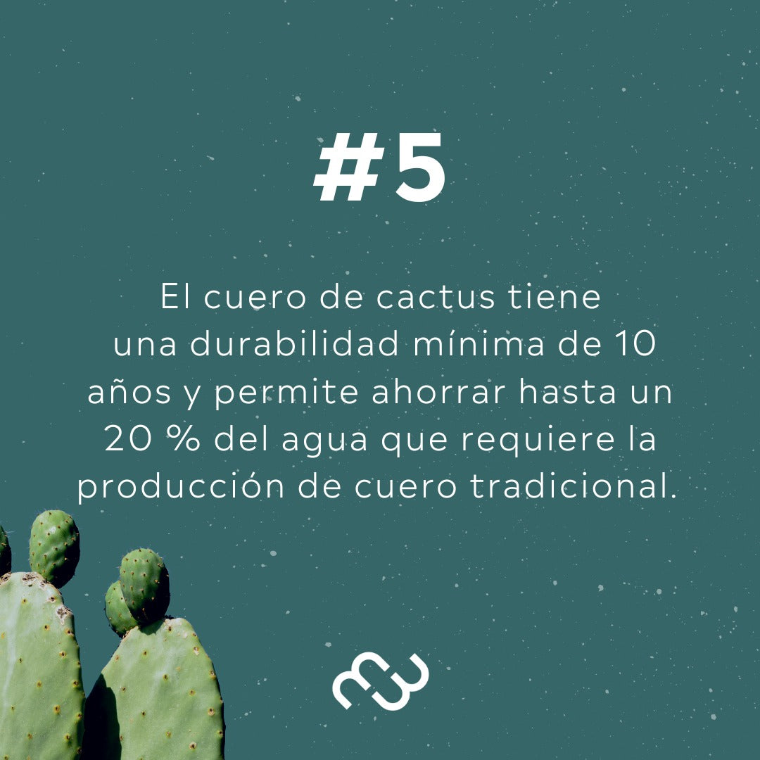 PREVENTA - Laura Negro Cactus